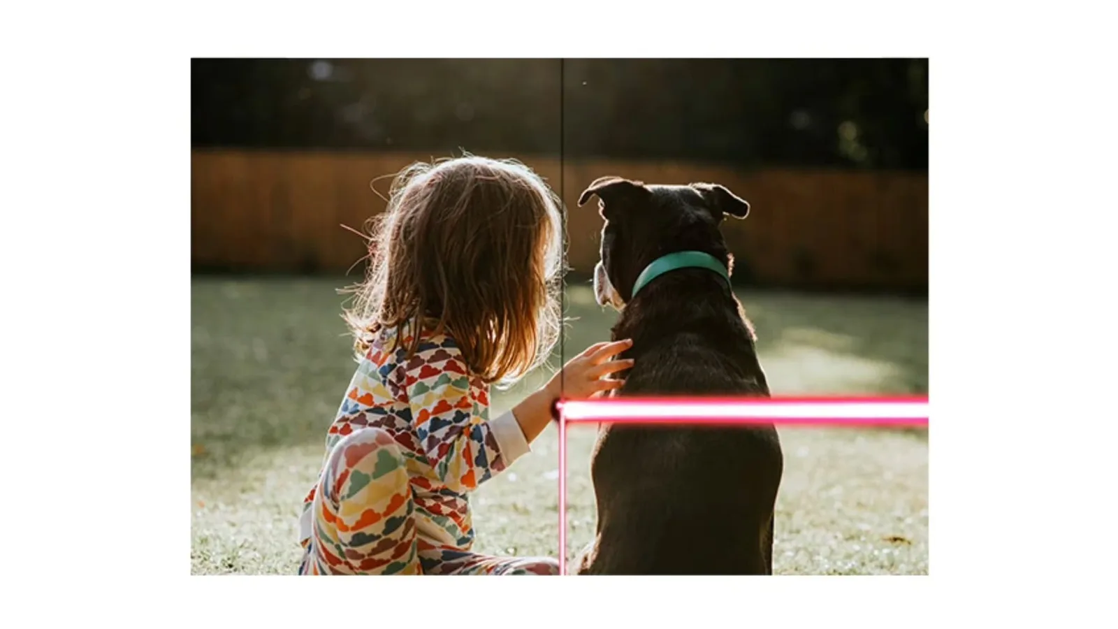Samsung Canada paylaşımında çatlak çizgisiyle bölünen çocuk ve köpek fotoğrafı