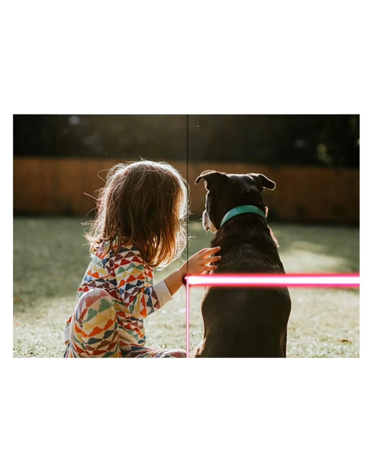 Çatlak ekran çizgisiyle ikiye ayrılan çocuk ve köpek fotoğrafı