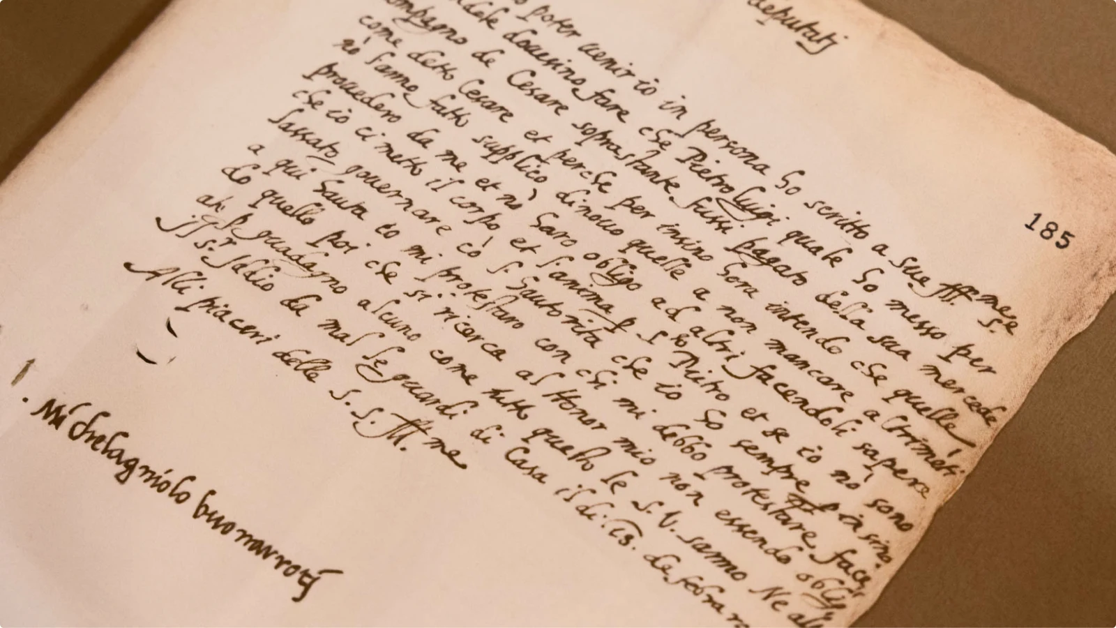 Michelangelus yazı ailesinin harf örnekleri