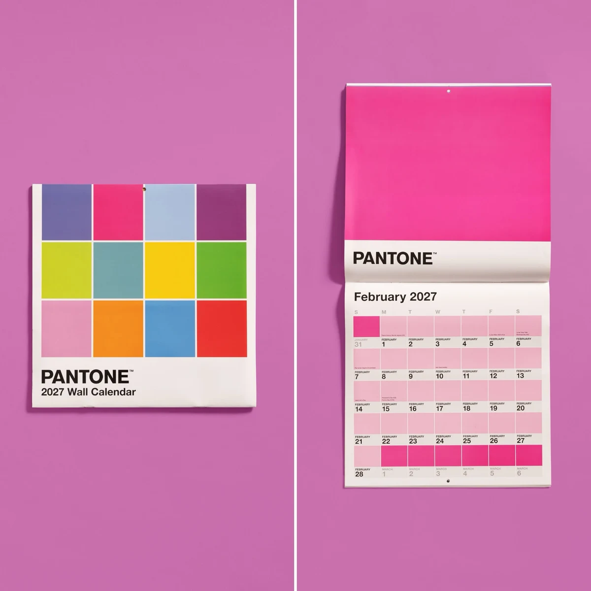 Pantone 2027 duvar takviminin renkli sayfaları
