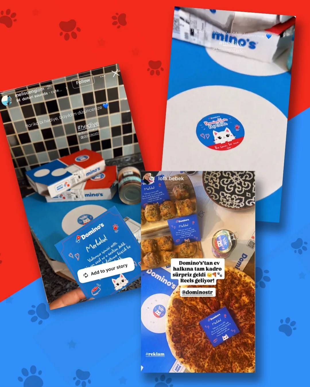 Domino’s pizza kutusu yanında evcil hayvan için hazırlanan yaş mama paketi