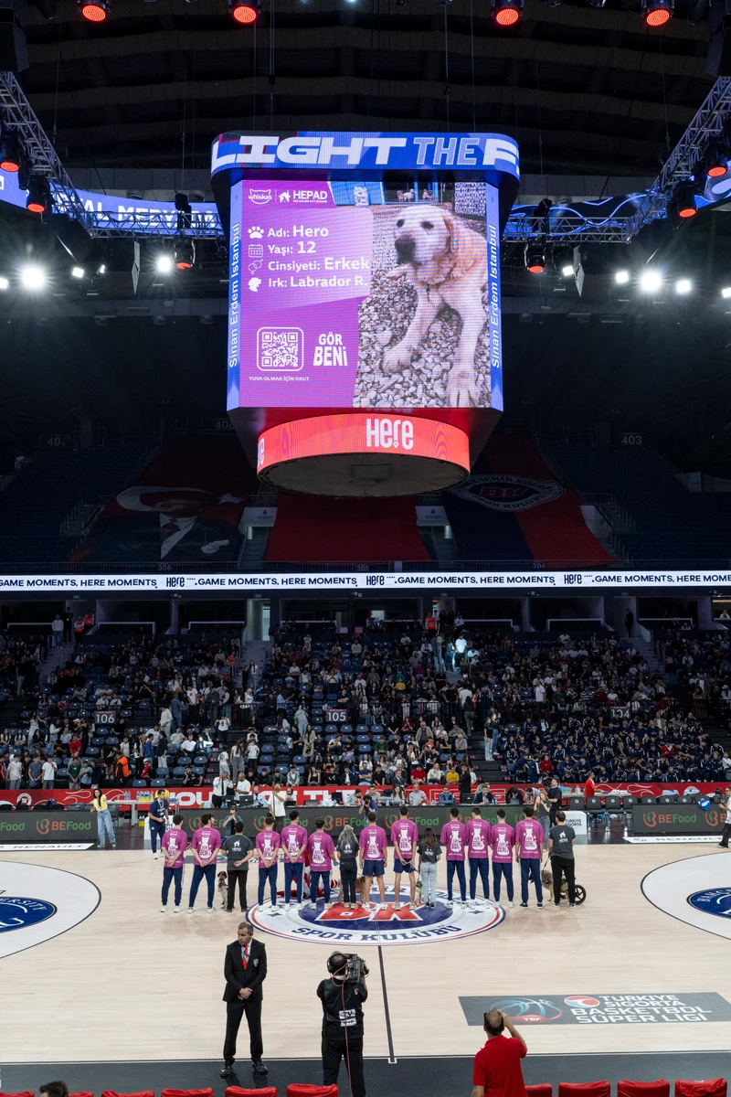 Akademi oyuncularının iyileşen hayvanlarla birlikte basketbol sahasına çıkışı